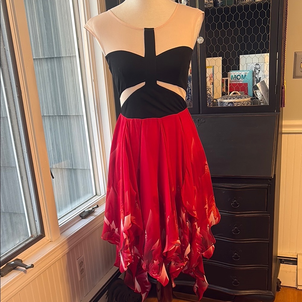 Ark & Co Asymmetrical Sleeveless Red and Black Dress size S NWOT